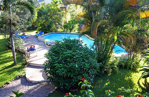 ProCab Apartment | Jungle studio with kitchenette