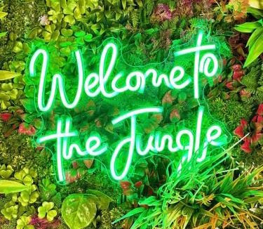 Lunel Apartment | Jungle Suite Jacuzzi Spa Terrasse, Wi-Fi & Parking PV