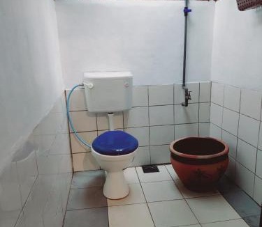 Bentong Other | Jungle Zen Janda Baik Campsite