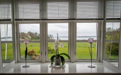 Praesto Bed & Breakfast | Jungshoved Præstegård B&B