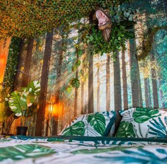 Montigny-les-Metz Apartment | Jurassique Appart