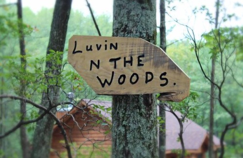 Stanardsville Cabin | Just Luvin In The Woods