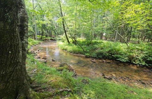 Dial House | Just One More Night