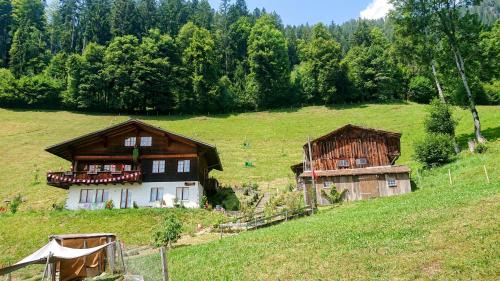 Beatenberg Apartment | Känzeli - Ferienwohnung mit Traumaussicht