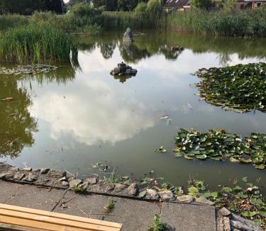 Ringe Apartment | Kærly