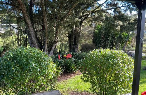 Maungatapere Bed & Breakfast | K2 Lodge