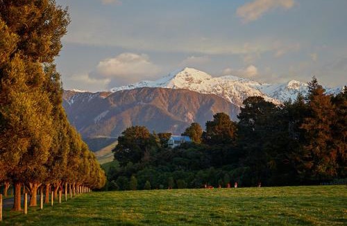 Hapuku House | Kaikoura, Cubby House Stay