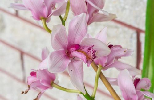 Kaitaia Hotel | Kaitaia Motor Lodge