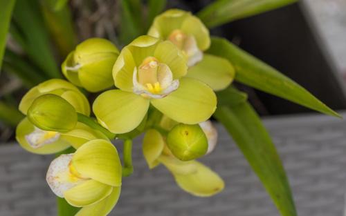 Kaitaia Hotel | Kaitaia Motor Lodge