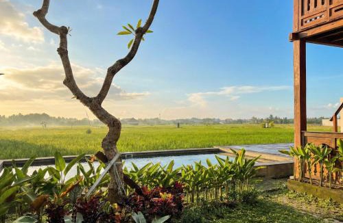 Tabanan Hotel | Kalyana Gangga