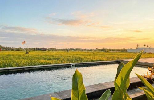 Tabanan Hotel | Kalyana Gangga