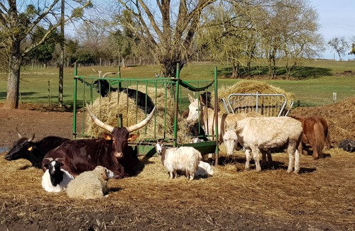 Sainte-Colombe-des-Bois House | kangaroo farm