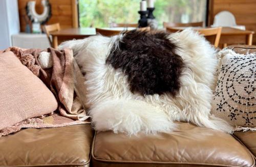 Kangaroo Valley House | Kangaroo Valley Timber Cabin