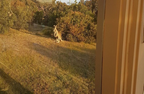 Fairhaven House | Kangarooma - large comfortable beach house