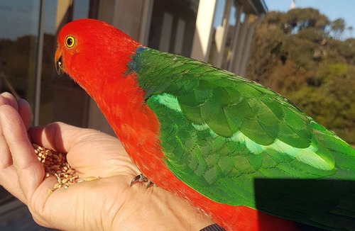 Fairhaven House | Kangarooma - large comfortable beach house