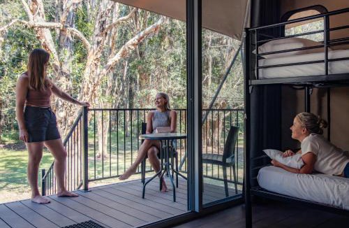 Como Hostel | Kangarooms Noosa Everglades