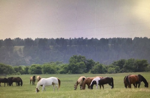 Sundance Cabin | Kara Creek - Queen Bed Cabin #2