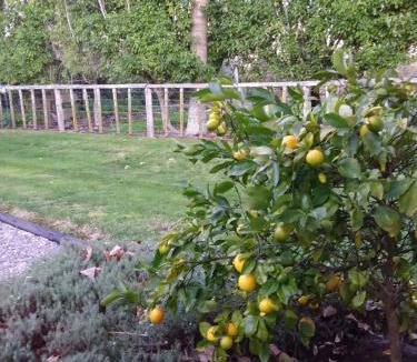 Karapiro Bed & Breakfast | Karapiro Willows Luxury B & B