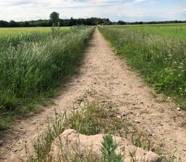 Uldum Bed & Breakfast | Karensdal B & B