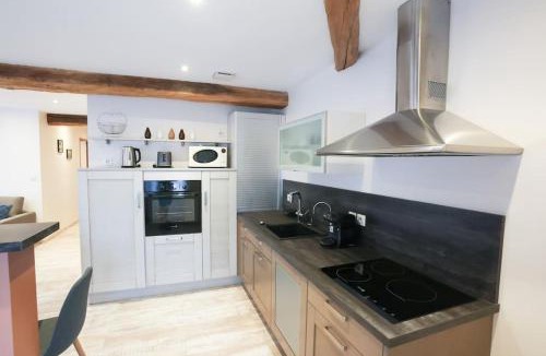 Saint-Just-la-Pendue Apartment | Karine hospitality