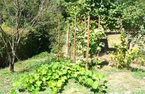 Siorac-en-Perigord House | Karine's house