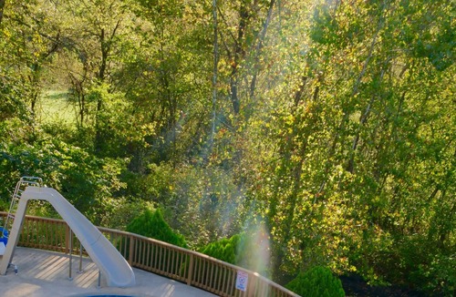 Linn Creek House | Karis Cottage - Private Pool and Dock on 20 Lakefront Acres