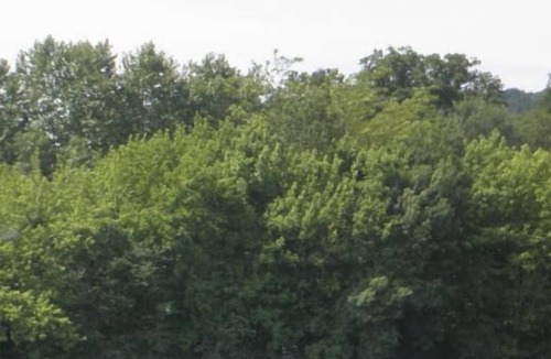 Sainte-Marie-de-Gosse House | Karpau - Ste-marie-de-gosse