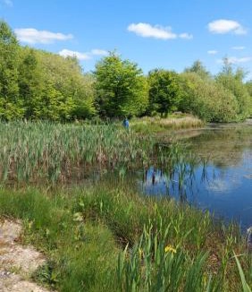 Graerup Apartment | Kastanjegaarden