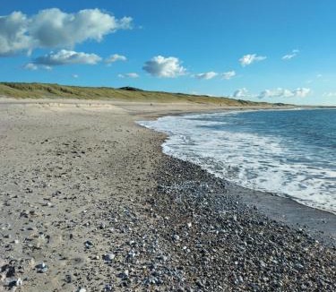 Trans House | Kathøje