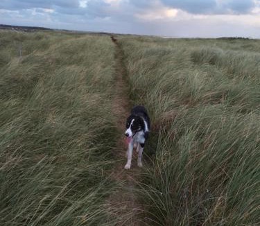 Trans House | Kathøje