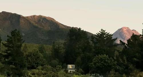 Okato Hostel | Katikara Eco-Community - Rosewood accommodations