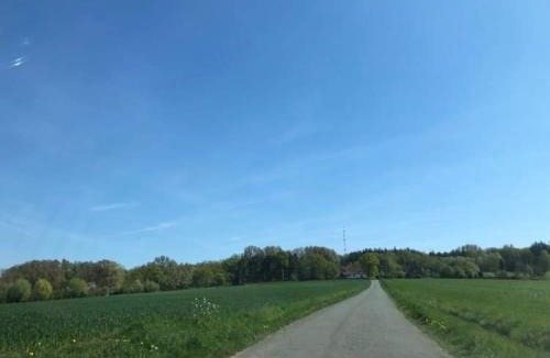 Godewaersvelde House | katshof