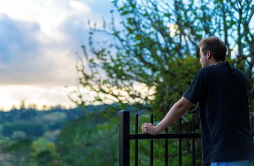 Waitoki House | Kauri Haven Cabin by Tiny Away