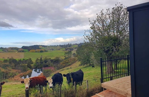 Waitoki House | Kauri Haven Cabin by Tiny Away