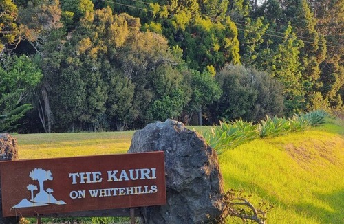 Waitoki House | Kauri Sanctuary Cabin by Tiny Away