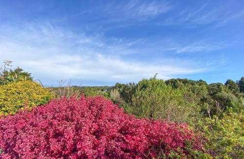 Parua Bay Bed & Breakfast | Kauri Villas