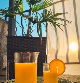 Nerezise Apartment | Kaya house