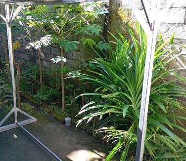 Kecamatan Kuripan House | Kediri Homestay