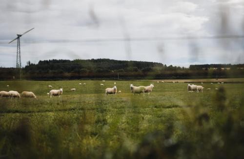 Murthill Other | Keene - Bell Tent