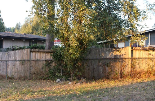 Kelso House | Kelso Pitstop