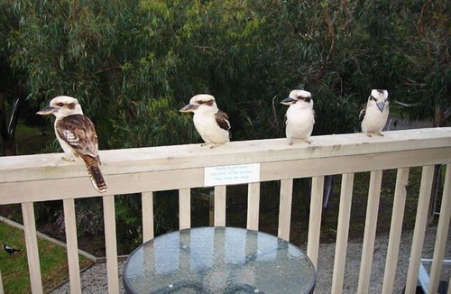 Kennett River House | Kennett River All Seasons Escape