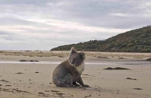 Kennett River House | Kennett River All Seasons Escape