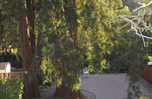 Greenbrae Apartment | Kentfield Haven - Adorable and Cozy Studio