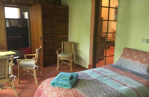 Old Reynella House | Kentia Palms