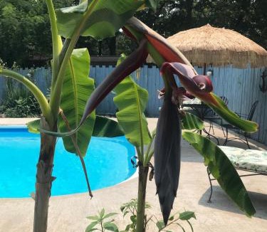 Gilbertsville House | Kentucky Lake Pool Home in Moors Resort Area