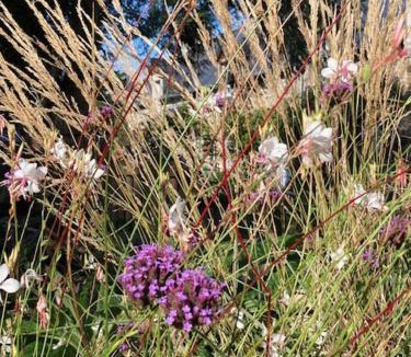 Tramain House | Ker Gwezenn