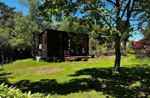 Tataraimaka House | Kereru Creek by Tiny Away