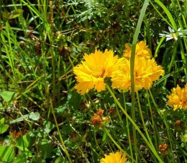 Kerikeri Bed & Breakfast | Kerikeri Blue Chair B&B