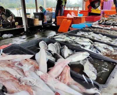 Kampung Telaga Papan Apartment | Kerteh Apartment