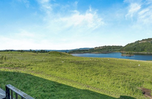 Fintry Cottage | Kestrel Cottage - 27937